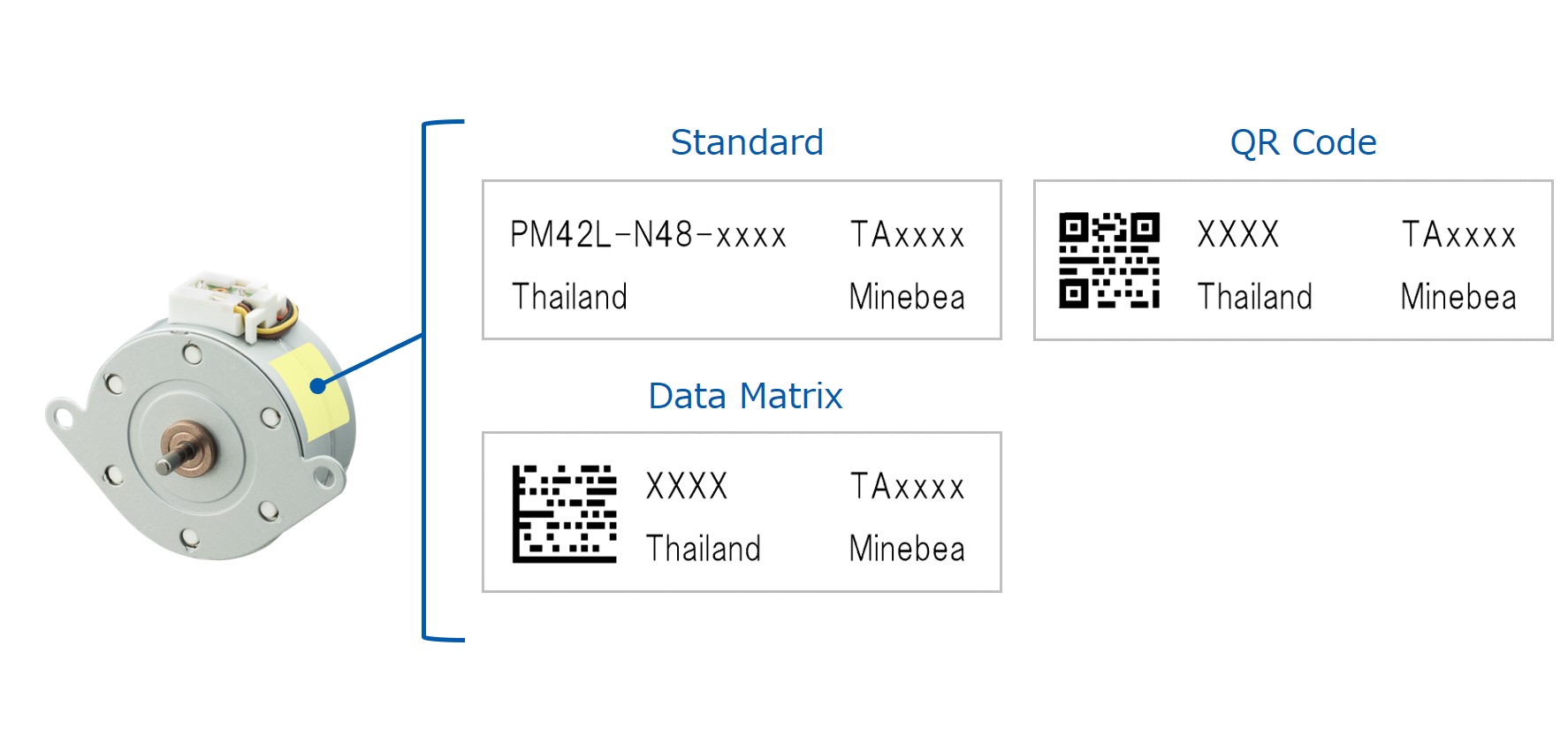 Customization examples of nameplate with standard text, QR codes and Data Matrix to improve traceability