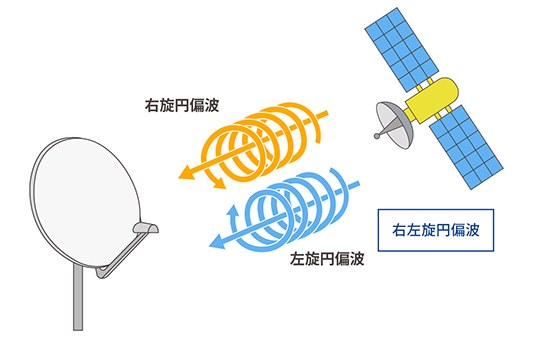 左右旋円偏波