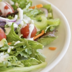 [Renowned manufacturer] Mitus® Metal Detector for Salad Dressings