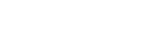 Minebea intec The true measure